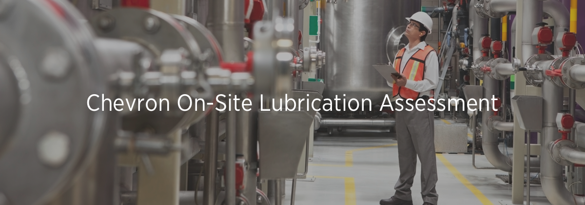 man inspecting equipmant